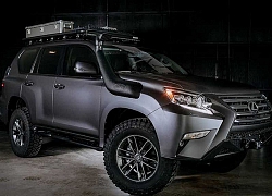 Xem Lexus GX 460 được trang bị off-road "tận răng", thách thức mọi địa hình khó