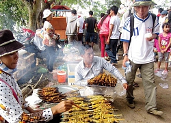 An Giang: Núi Cấm có loài ốc kỳ lạ, mưa xuống tự trồi dưới đất lên