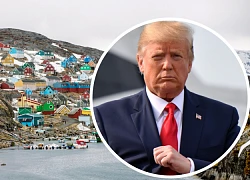 Bị từ chối cho mua Greenland, Tổng thống Trump hủy thăm Đan Mạch