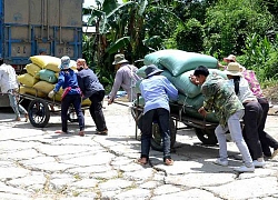 Chồng trẻ cầu cứu khắp nơi vì vợ mất tích nơi xứ người