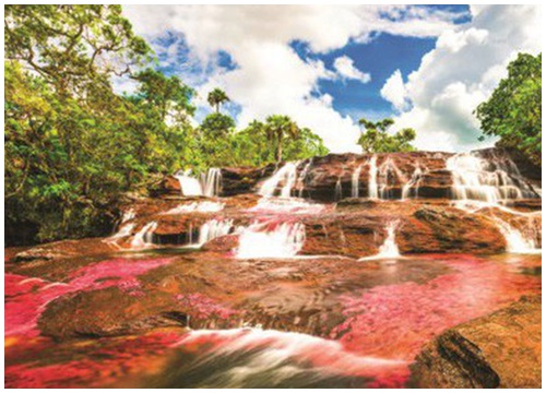 Độc đáo "dòng sông 5 màu" ở Colombia