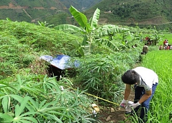 Hé lộ nguyên nhân nam thanh niên hạ sát người phụ nữ ở vùng giáp biên