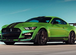 "Hổ mang chúa" Ford Mustang Shelby GT500 2020 mạnh hơn cả siêu xe hàng khủng