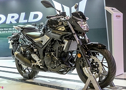 Mê xe phân khối lớn, 140 triệu chọn Yamaha MT-03 hay Kawasaki Z300?