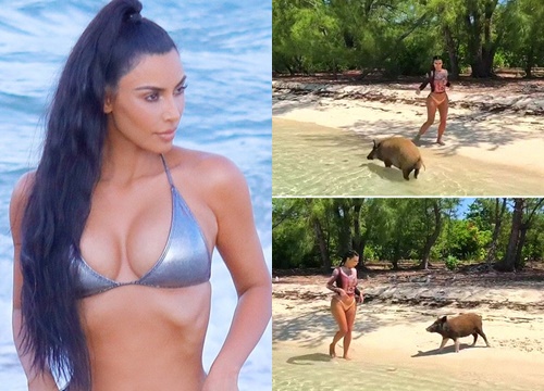 Kim Kardashian sợ đàn lợn Bahamas tấn công