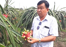 Làm giàu khác người: Thành tỷ phú "khu nhà giàu" nhờ chớp thời cơ