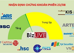 Nhận định chứng khoán 23/8: Nhiều cơ hội tốt vẫn đang xuất hiện