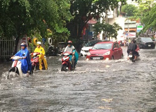 Phải xây đê mới mong chống ngập hiệu quả!