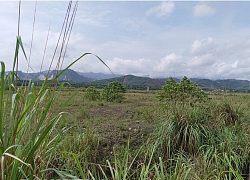 Quảng Ninh: Chỉ đạo công an điều tra dự án đô thị trăm tỷ bị thu hồi