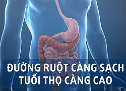 Thải độc ruột bằng phương pháp tự nhiên