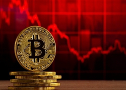 Thị trường tiền ảo rực đỏ, Bitcoin đi về đâu?