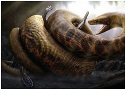 Trăn khổng lồ Titanoboa: Con quái vật có thể nuốt chửng cả khủng long