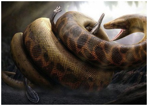 Trăn khổng lồ Titanoboa: Con quái vật có thể nuốt chửng cả khủng long