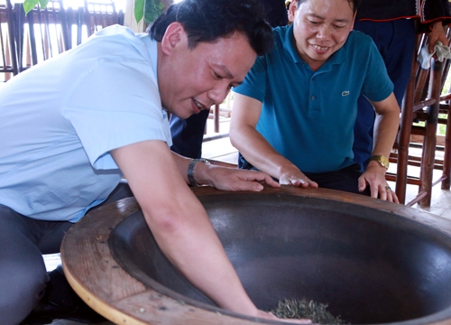 Bí thư Tỉnh ủy Hà Giang Đặng Quốc Khánh: Chè Shan tuyết là báu vật