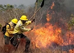 Brazil điều 44.000 binh sĩ dập cháy rừng kỷ lục ở Amazon