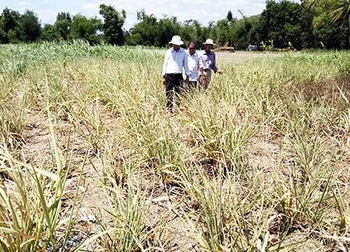 Các địa phương ven biển chủ động ứng phó bão Bailu