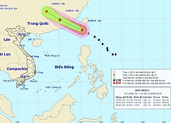 Các tỉnh, thành từ Quảng Ninh-Bình Định chủ động ứng phó với bão Bailu