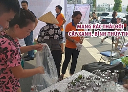 Dân Hải Phòng hào hứng mang rác thải nhựa đổi cây xanh, bình thủy tinh