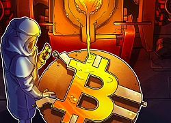 Giá tiền ảo hôm nay (24/8): Forbes gọi Bitcoin là 'vàng của thương chiến'