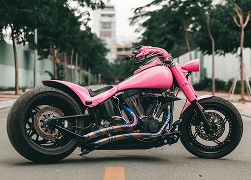 Harley-Davidson Softail độ màu hồng của tay chơi Sài Gòn