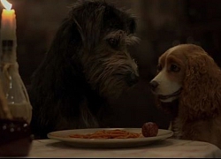 'Lady and the Tramp' tung trailer giới thiệu hình ảnh đầu tiên về bản live-action chuyện tình lãng mạn của Disney