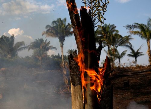 Cháy rừng Amazon: "Quả bom carbon ngày tận thế" giáng xuống Trái đất