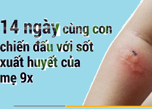 Nhật kí 14 ngày cùng con chiến đấu với bệnh sốt xuất huyết của bà mẹ trẻ