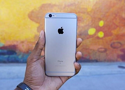 iPhone 6, 5S sắp 'tuyệt chủng' tại Việt Nam