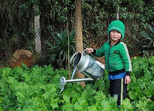 Phóng sự ảnh: Niềm vui cơm có thịt của học sinh bán trú trường Nậm Khắt