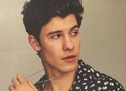 Shawn Mendes bất ngờ bị cộng đồng mạng ném đá vì có hành động kì thị LGBT