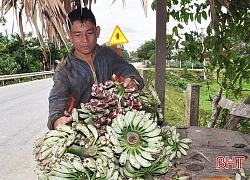 Vất vả săn "lộc rừng", mỗi năm có hơn trăm triệu