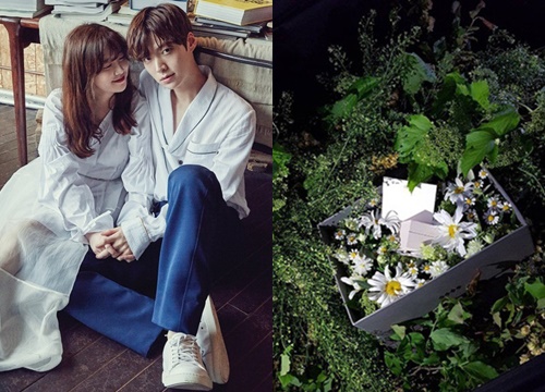 7 màn cầu hôn hot nhất showbiz Hàn: Người hỏi cưới bằng sàn nhà kín tiền, Ahn Jae Hyun có cách nào mà hot thế?