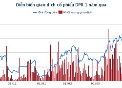 Cao su Đồng Phú đạt gần 121 tỷ đồng 8 tháng đầu năm 2019