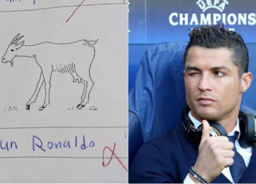 Cậu bé chấp nhận trượt môn tiếng Pháp để gọi Ronaldo là... con dê