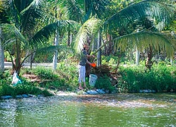 Đà Nẵng: Muốn giàu nuôi cá, muốn khá dân ở đây cũng nuôi cá