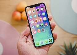 Đánh giá chi tiết iPhone 11 (iPhone 2019) qua những rò rỉ: Hiệu năng 'hủy diệt' hay camera 'hủy diệt'?