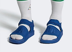 Đôi dép sandals cao su sặc sỡ của Pharrell Williams kết hợp Adidas thu hút các tín đồ