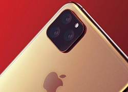 iPhone 11 có thể không cần dùng ốp lưng, không vỡ kính