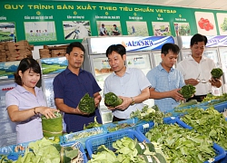 Ninh Bình: Nông nghiệp gắn với du lịch cộng đồng, dân thêm thu nhập