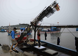 Quảng Ngãi còn 654 tàu cá đang hoạt động trên các vùng biển