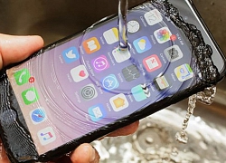 Tỉ lệ iPhone hư hại do nước đang ngày càng giảm trong những năm gần đây