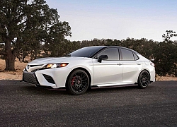 Toyota Camry TRD 2020 sản xuất số lượng giới hạn