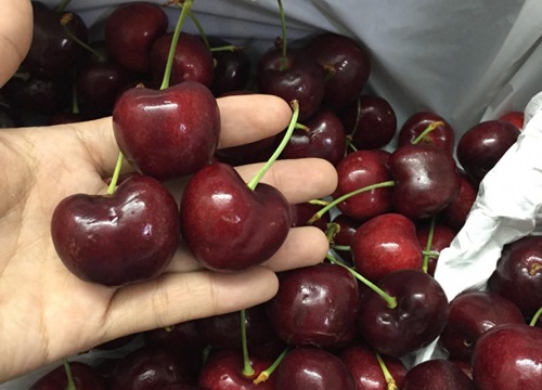 Bỏ túi "bí kíp" ăn Cherry giảm cân hiệu quả