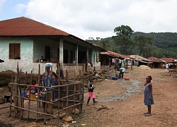 Cho TQ khai thác, Sierra Leone 'vẫn hoàn nghèo' dù ngồi trên mỏ vàng