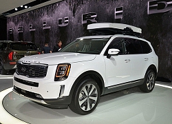 30.000 xe SUV hạng sang Kia Telluride 2020 bị triệu hồi tại Mỹ