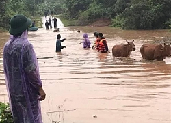 Áp thấp 'kép' dị thường, miền Trung có nơi mưa tới 700mm