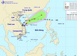 Áp thấp nhiệt đới cách đất liền Quảng Trị-Quảng Ngãi 180km, giật cấp 8