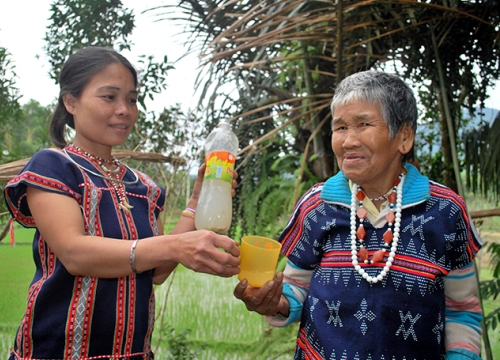 Lạ kỳ dừa núi cho rượu: Hễ khách đến nhà, đàn bà cũng trèo lên lấy rượu