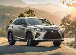 Lexus RX 2020 chốt giá hơn 1 tỷ đồng