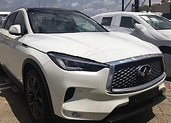 Infiniti QX50 2019 - xe sang Nhật giá hơn 2,4 tỷ đồng về Việt Nam